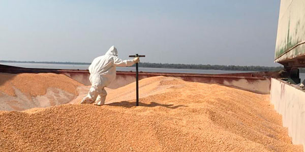 Fumigadora San Miguel®.  Fumigación y control de plagas