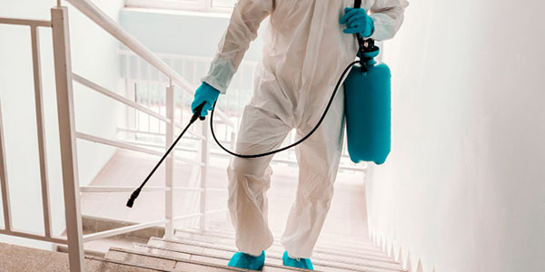 Fumigadora San Miguel®.  Fumigación y control de plagas