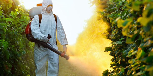 Fumigadora San Miguel®.  Fumigación y control de plagas