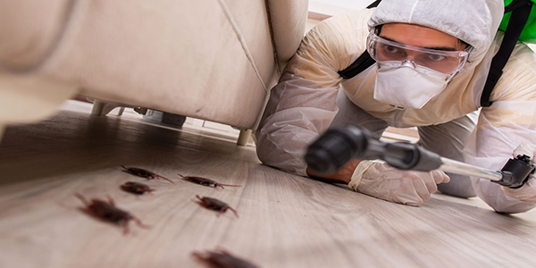 Fumigadora San Miguel®.  Fumigación y control de plagas